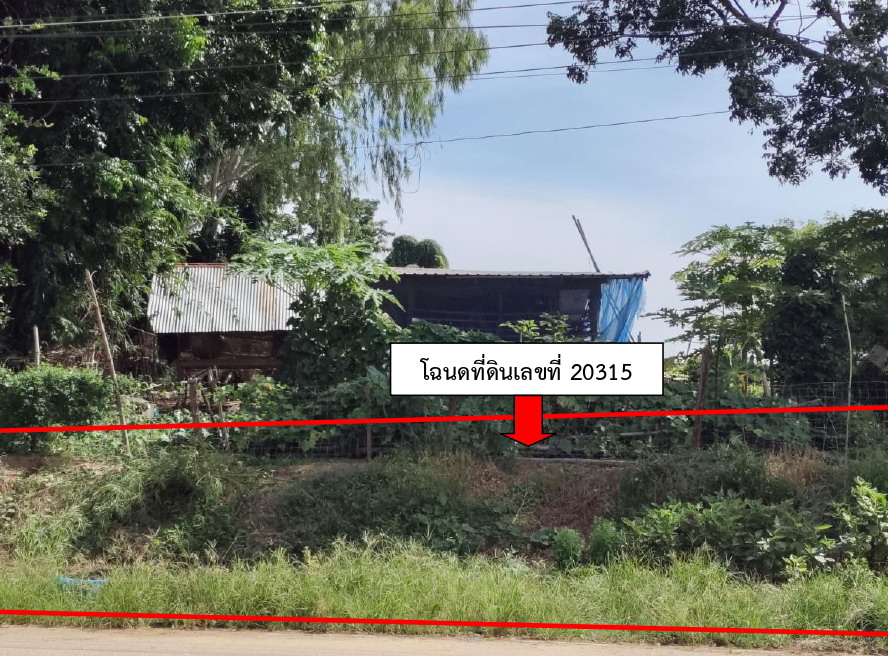 รูปที่ดินว่างเปล่า กกแรต กงไกรลาศ สุโขทัย