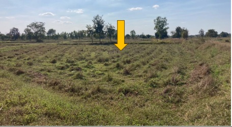 รูปที่ดินว่างเปล่า หนองแวงโสกพระ พล ขอนแก่น