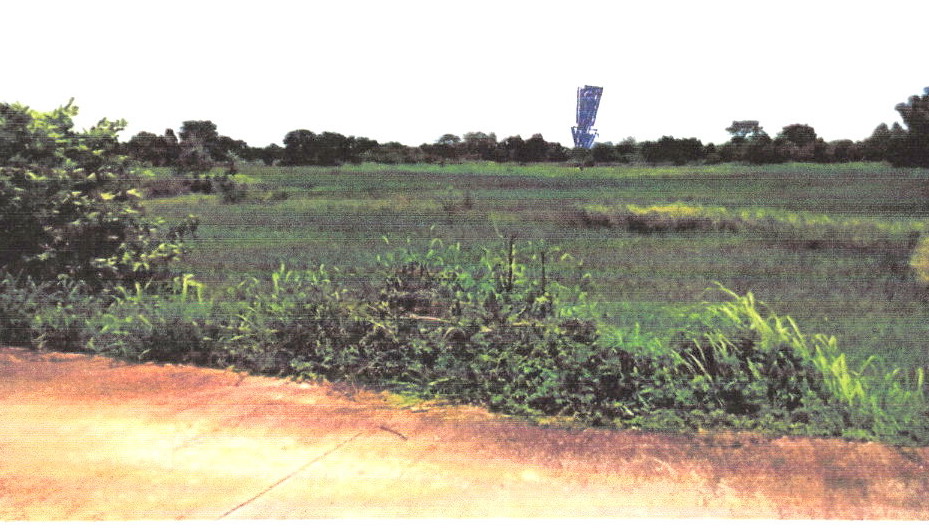 รูปที่ดินว่างเปล่า โพนทอง เมืองชัยภูมิ ชัยภูมิ