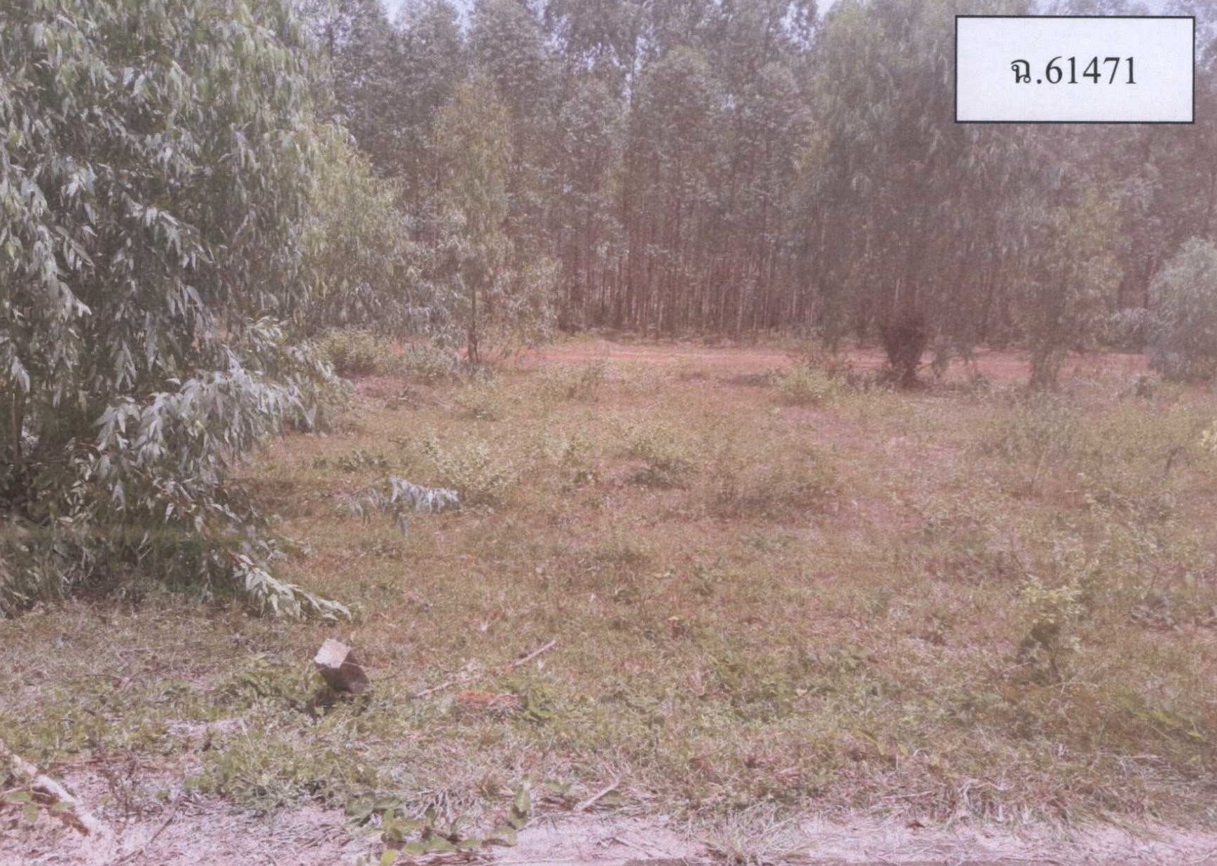 รูปที่ดินว่างเปล่า กุดน้ำใส น้ำพอง ขอนแก่น