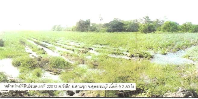 รูปที่ดินว่างเปล่า วังลึก สามชุก สุพรรณบุรี