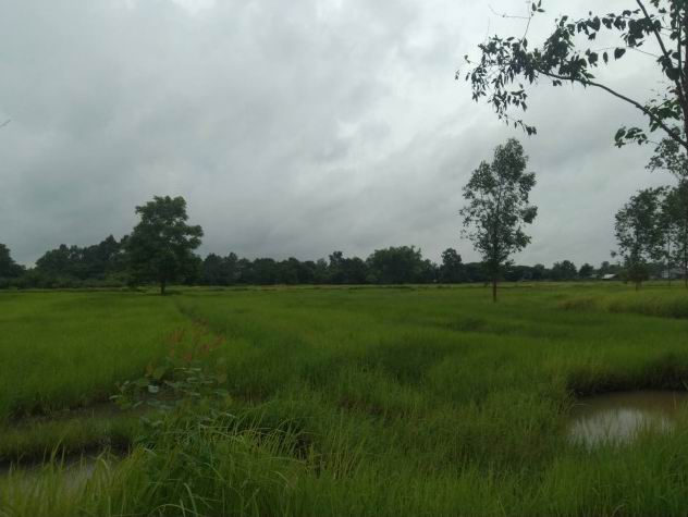 รูปที่ดินว่างเปล่า ม่วง บ้านม่วง สกลนคร