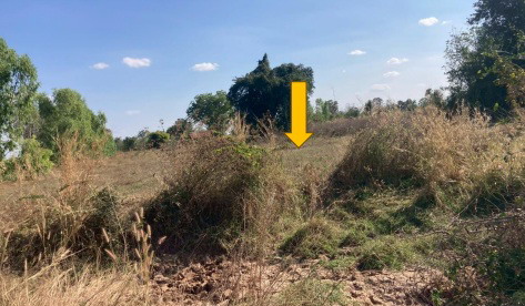 รูปที่ดินว่างเปล่า หนองแวงโสกพระ พล ขอนแก่น