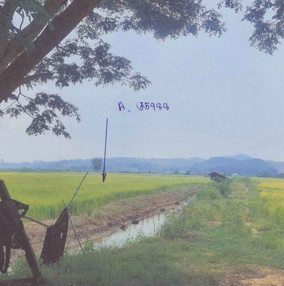 รูปที่ดินว่างเปล่า ท่าข้าวเปลือก แม่จัน เชียงราย