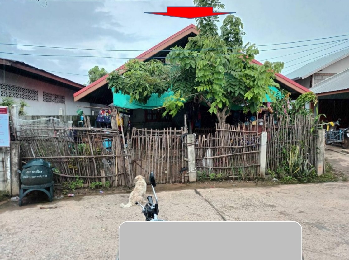 รูปที่ดินพร้อมสิ่งปลูกสร้าง มะเฟือง พุทไธสง บุรีรัมย์