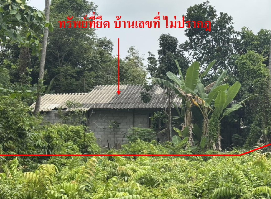 รูปที่ดินพร้อมสิ่งปลูกสร้าง โคกเคียน เมืองนราธิวาส นราธิวาส