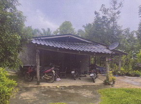 รูปที่ดินพร้อมสิ่งปลูกสร้าง วังมะปรางเหนือ วังวิเศษ ตรัง
