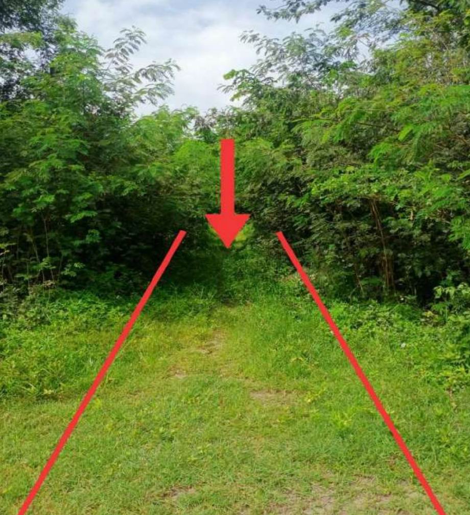 รูปที่ดินว่างเปล่า แม่ปูคา สันกำแพง เชียงใหม่