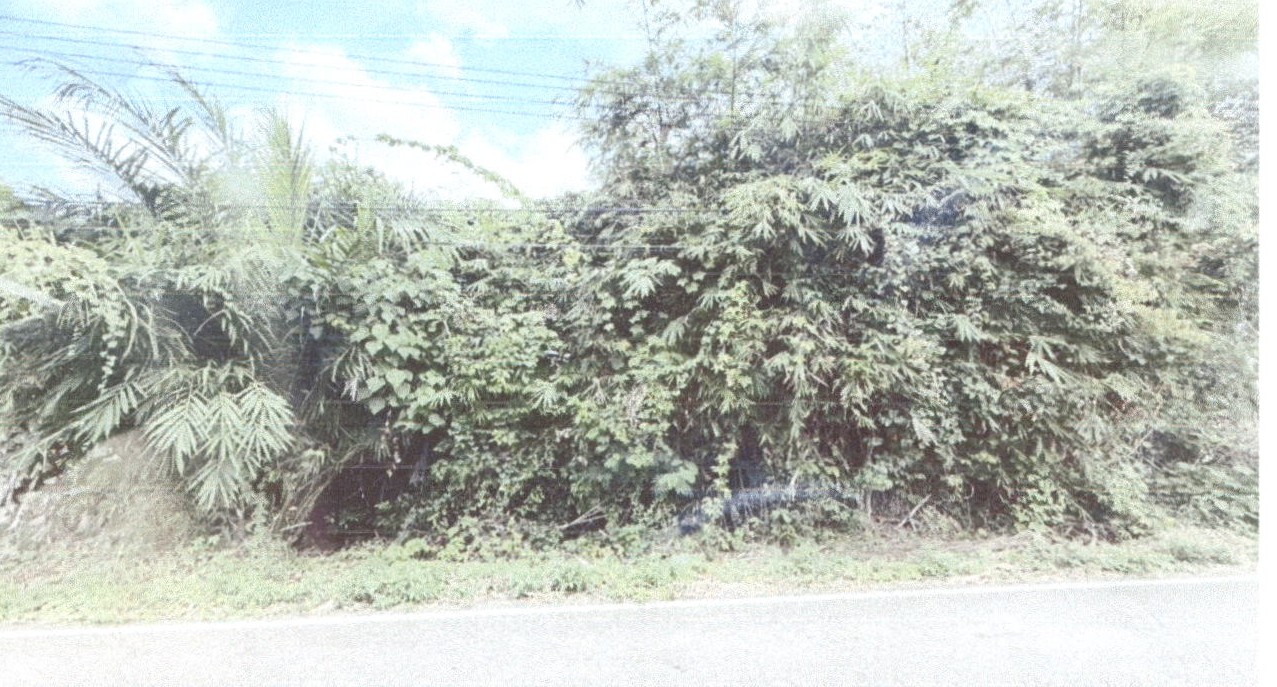 รูปที่ดินว่างเปล่า ทับปริก เมืองกระบี่ กระบี่