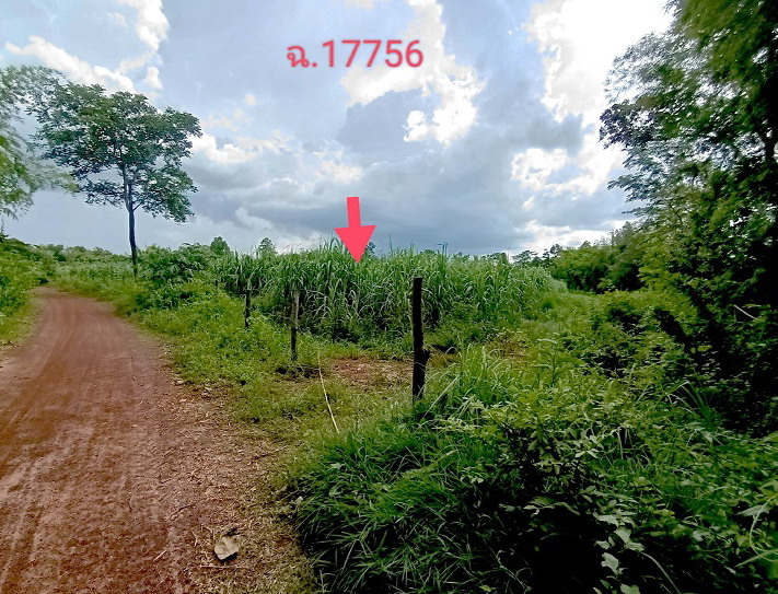 รูปที่ดินว่างเปล่า นาเพียง กุสุมาลย์ สกลนคร
