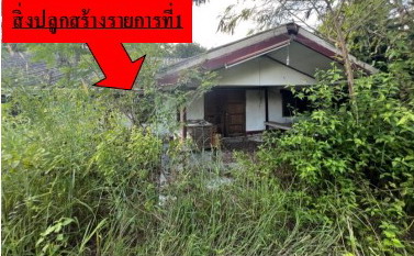 รูปที่ดินพร้อมสิ่งปลูกสร้าง เวียงชัย พยัคฆภูมิพิสัย มหาสารคาม