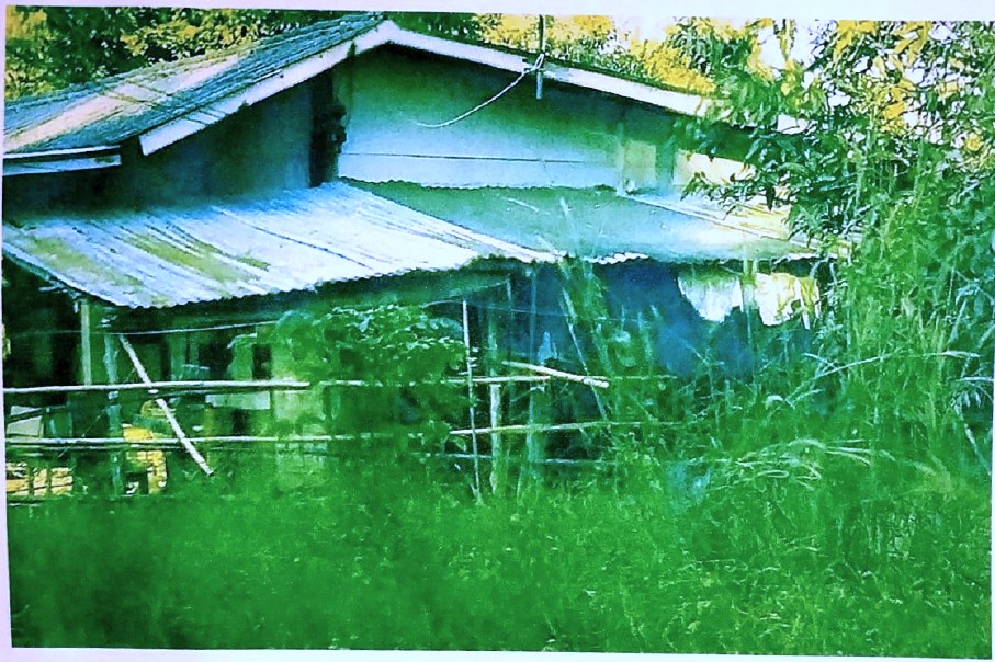 รูปที่ดินพร้อมสิ่งปลูกสร้าง บ้านบุ่ง เมืองพิจิตร พิจิตร