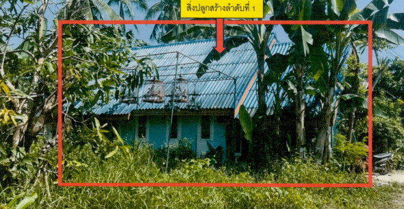 รูปที่ดินพร้อมสิ่งปลูกสร้าง ท่าศาลา ท่าศาลา นครศรีธรรมราช