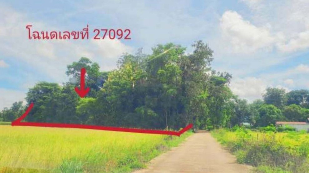 รูปที่ดินว่างเปล่า ห้วยน้ำหอม ลาดยาว นครสวรรค์