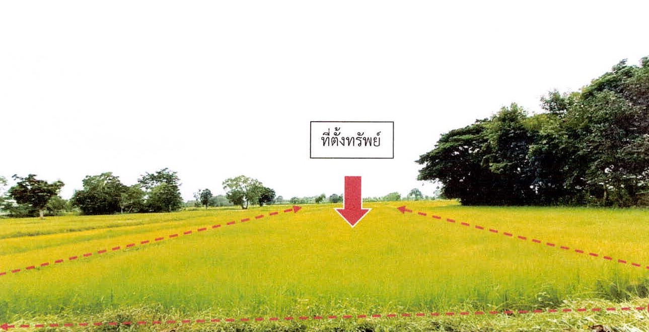 รูปที่ดินว่างเปล่า หนองบัว ศีขรภูมิ สุรินทร์