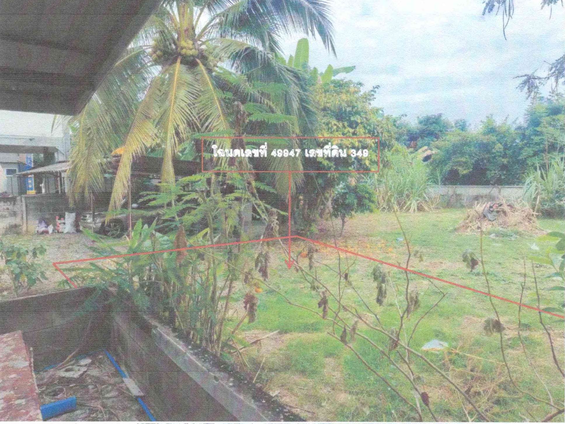 รูปที่ดินว่างเปล่า เมือง เมืองเลย เลย
