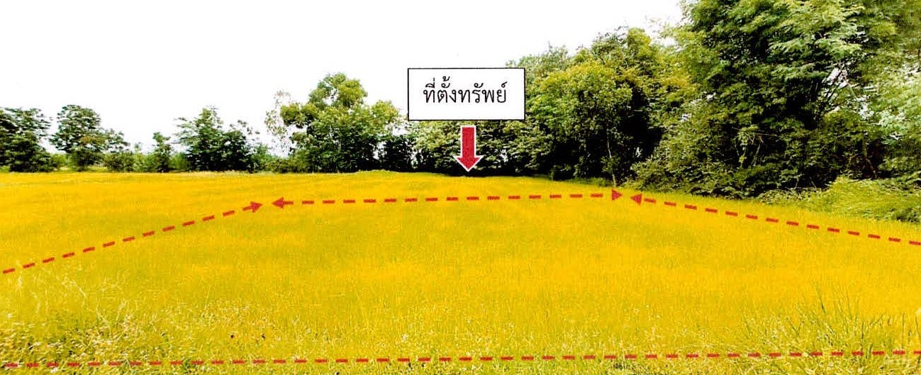 รูปที่ดินว่างเปล่า หนองบัว ศีขรภูมิ สุรินทร์