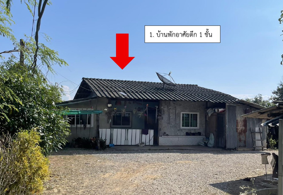 รูปที่ดินพร้อมสิ่งปลูกสร้าง แม่นาเรือ เมืองพะเยา พะเยา