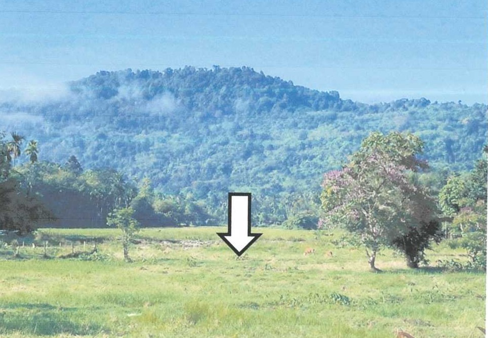 รูปที่ดินว่างเปล่า รือเสาะออก รือเสาะ นราธิวาส