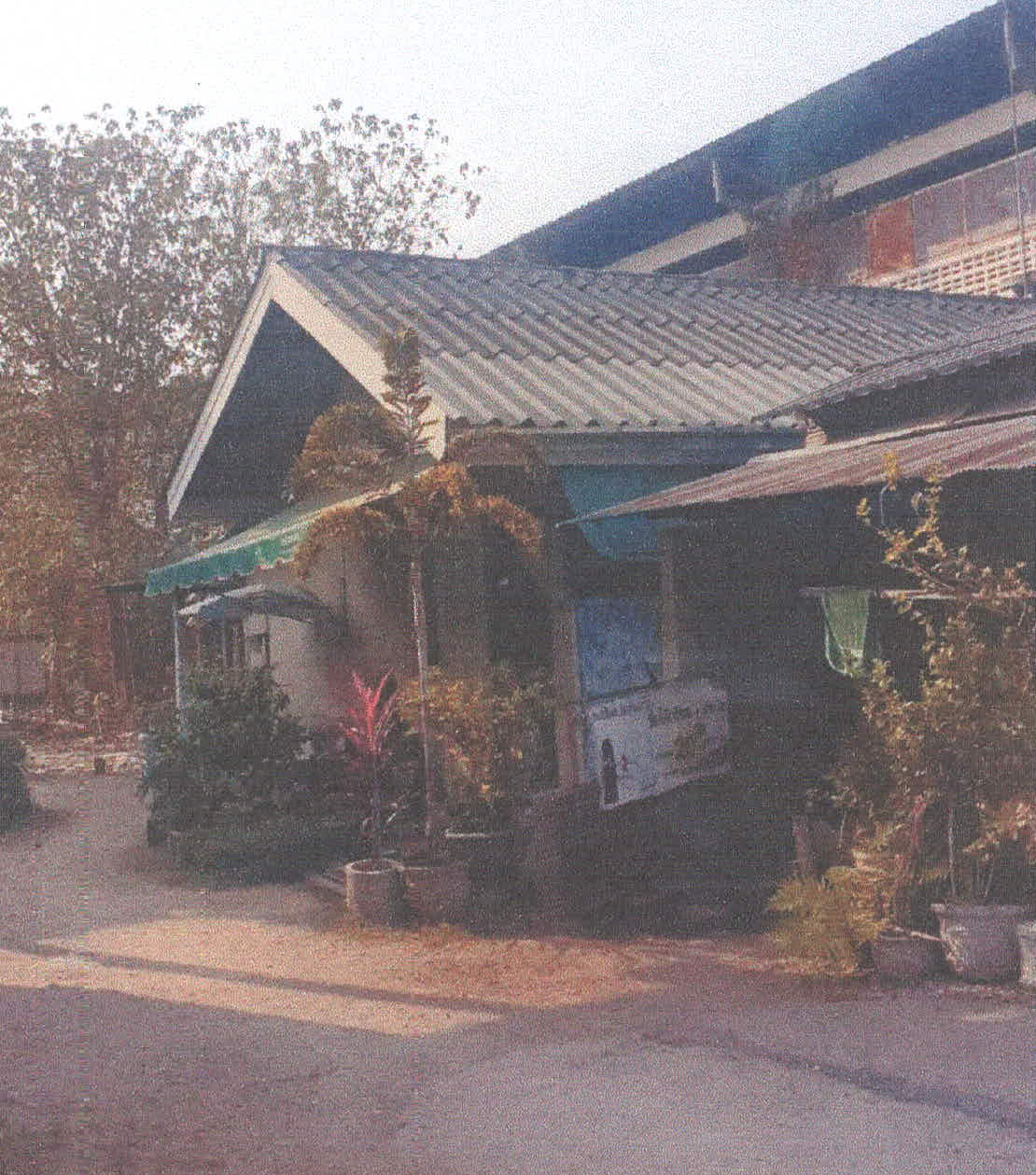 รูปที่ดินพร้อมสิ่งปลูกสร้าง ชมพู เมืองลำปาง ลำปาง