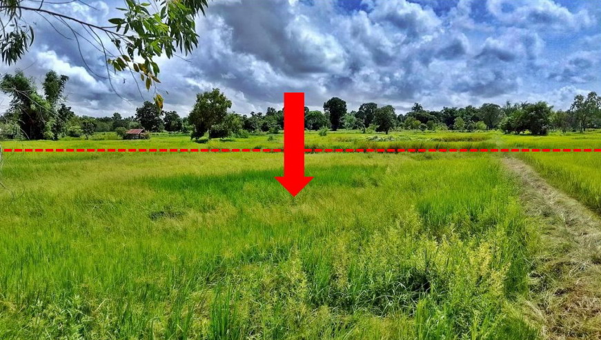 รูปที่ดินว่างเปล่า นาโส่ กุดชุม ยโสธร