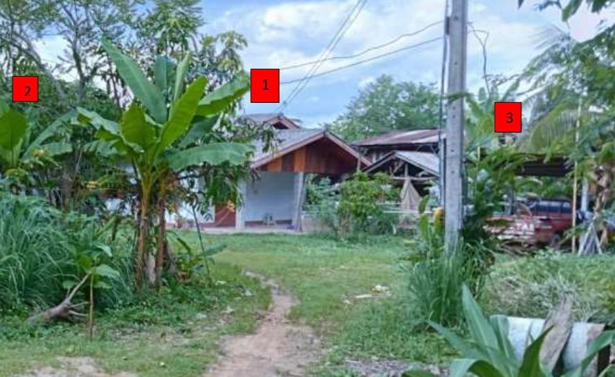 รูปที่ดินพร้อมสิ่งปลูกสร้าง แม่สรวย แม่สรวย เชียงราย