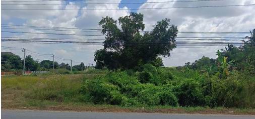 รูปที่ดินว่างเปล่า หนองขมาร คูเมือง บุรีรัมย์