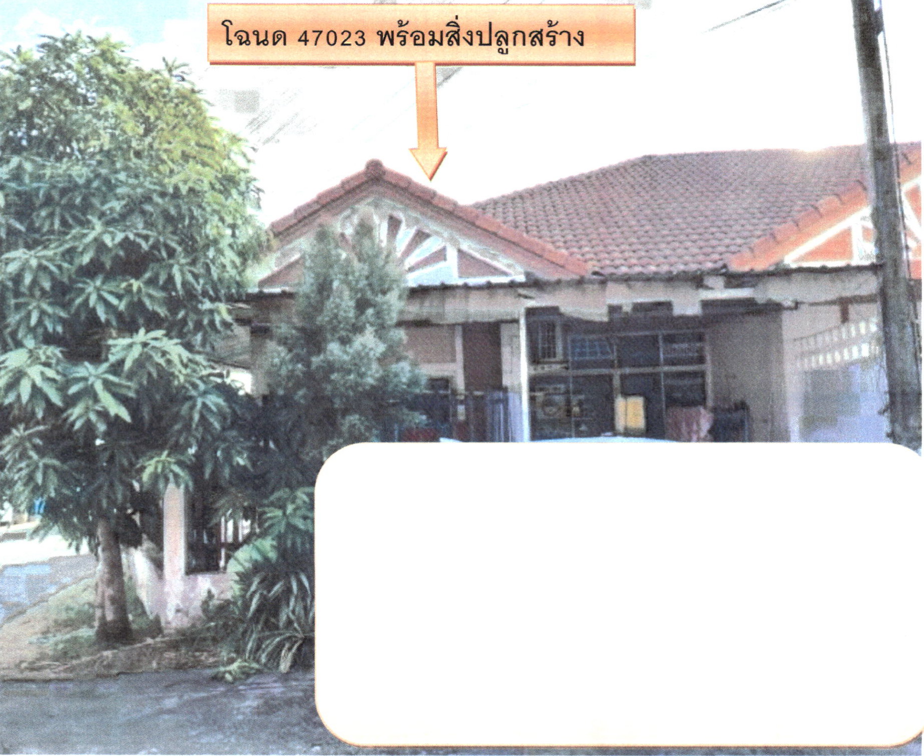 รูปที่ดินพร้อมสิ่งปลูกสร้าง ศรีสุนทร ถลาง ภูเก็ต
