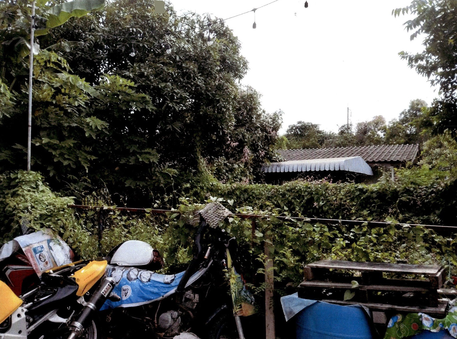 รูปที่ดินว่างเปล่า บางพลีใหญ่ บางพลี (บางพลีใหญ่) สมุทรปราการ