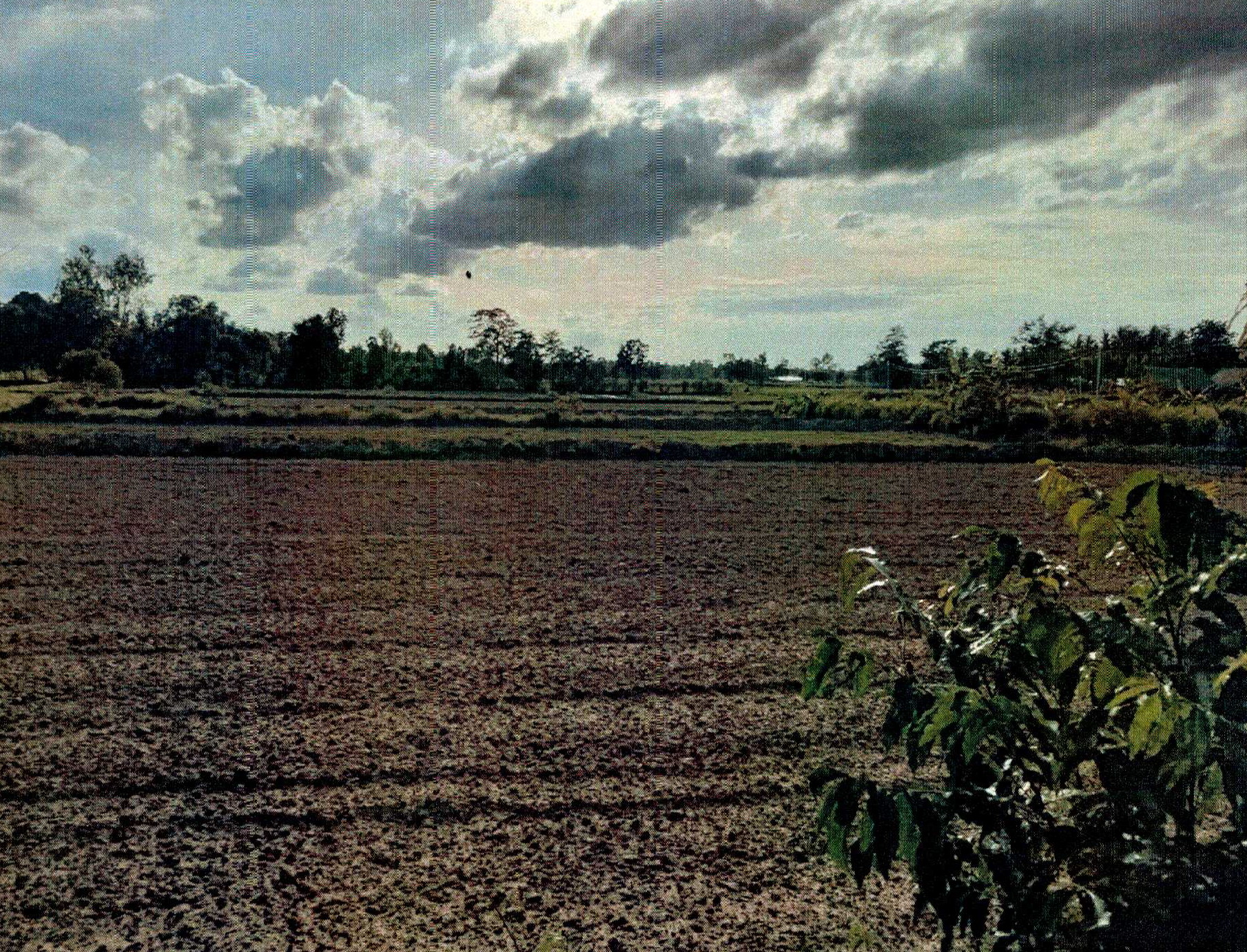 รูปที่ดินว่างเปล่า เฉนียง เมืองสุรินทร์ สุรินทร์
