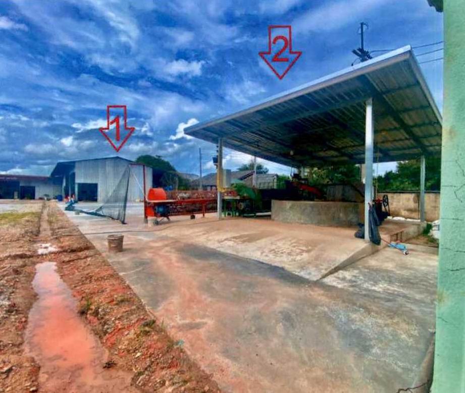 รูปที่ดินพร้อมสิ่งปลูกสร้าง หนองมะค่าโมง ด่านช้าง สุพรรณบุรี