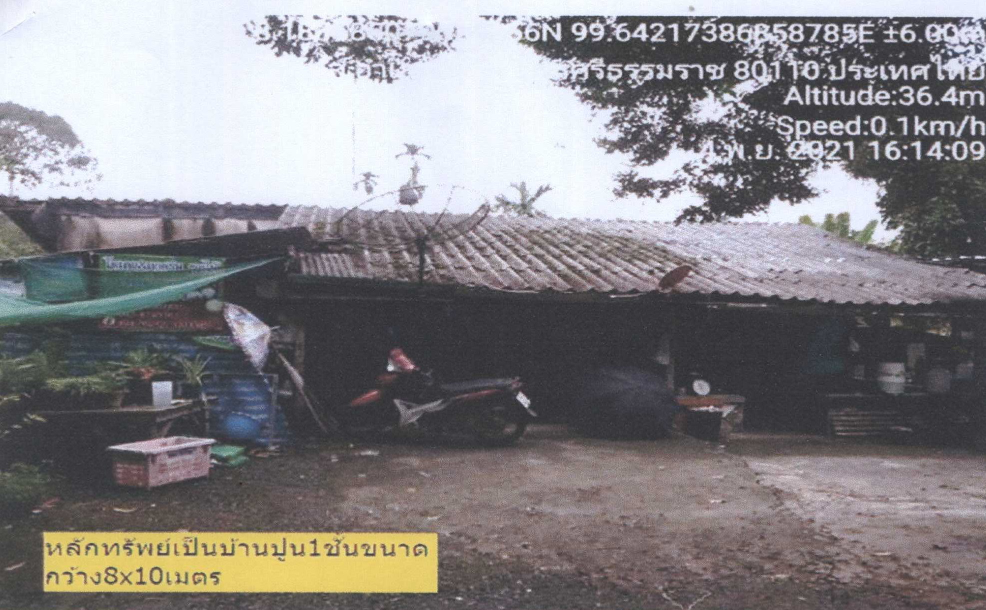 รูปที่ดินพร้อมสิ่งปลูกสร้าง หนองหงส์ ทุ่งสง นครศรีธรรมราช