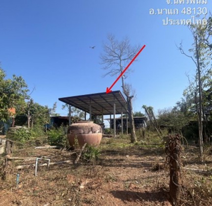 รูปที่ดินพร้อมสิ่งปลูกสร้าง พระซอง นาแก นครพนม