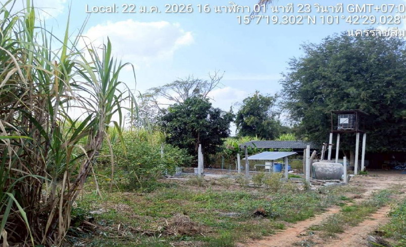 รูปที่ดินพร้อมสิ่งปลูกสร้าง ตะเคียน ด่านขุนทด นครราชสีมา