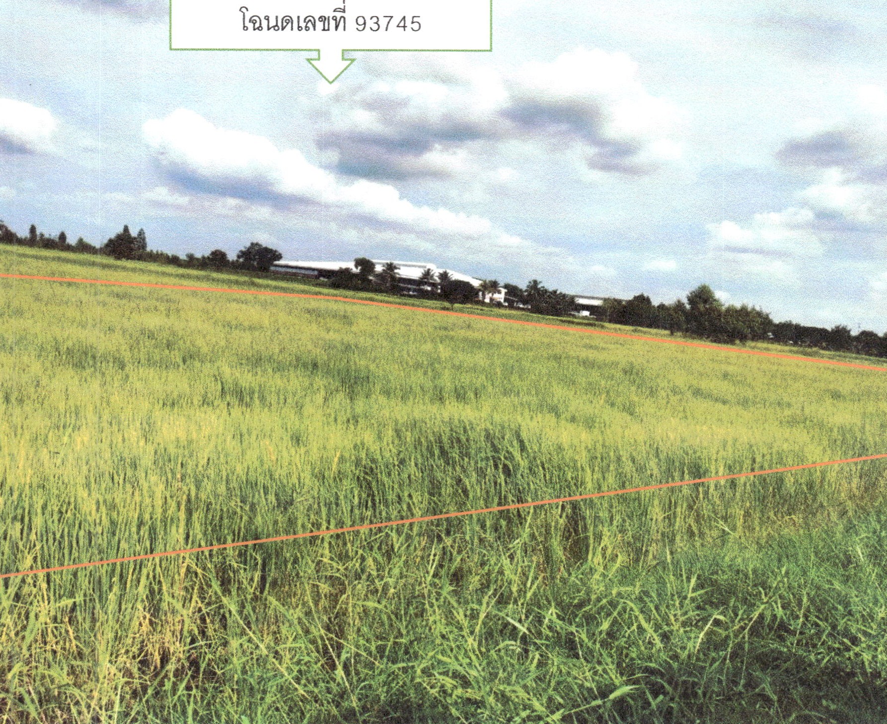รูปที่ดินว่างเปล่า ธารปราสาท โนนสูง นครราชสีมา
