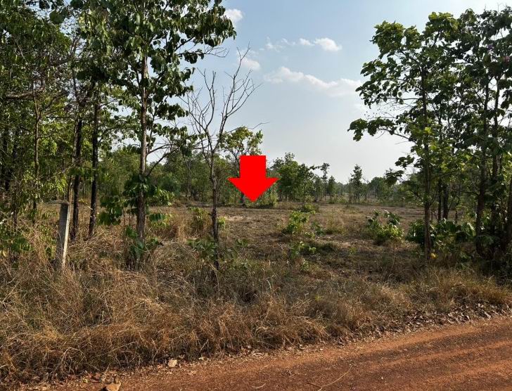 รูปที่ดินว่างเปล่า เจริญศิลป์ เจริญศิลป์ สกลนคร