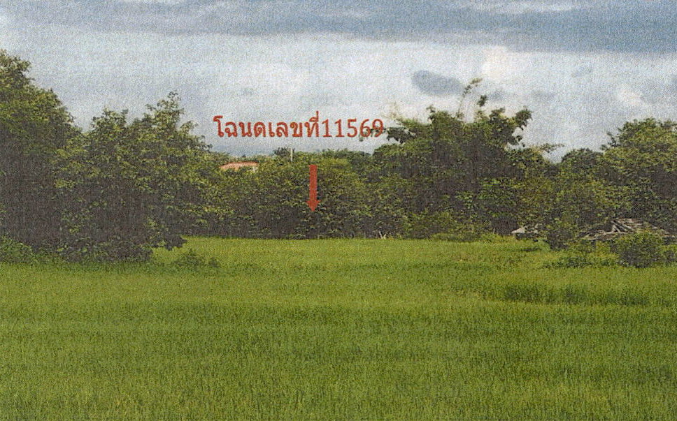 รูปที่ดินว่างเปล่า เสริมซ้าย เสริมงาม ลำปาง