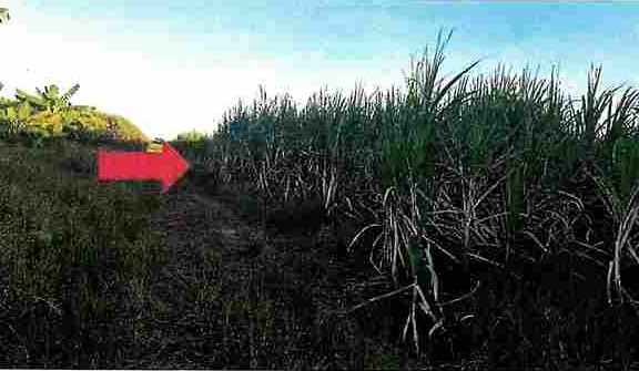 รูปที่ดินว่างเปล่า หนองกราด ด่านขุนทด นครราชสีมา