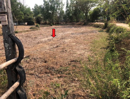 รูปที่ดินว่างเปล่า สระคู สุวรรณภูมิ ร้อยเอ็ด