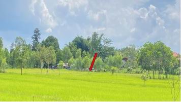 รูปที่ดินว่างเปล่า นาขาม เรณูนคร นครพนม