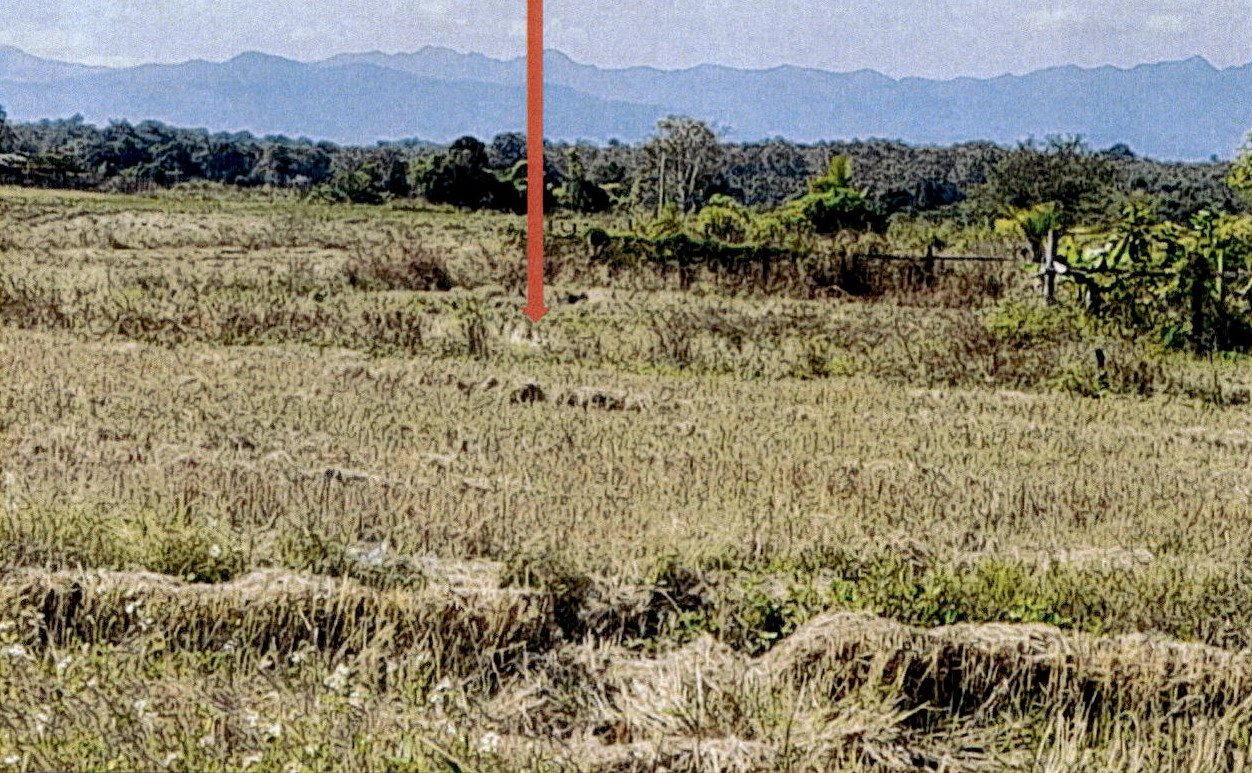 รูปที่ดินว่างเปล่า บ้านแหง งาว ลำปาง