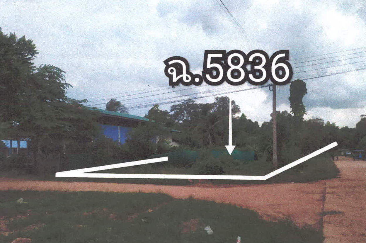 รูปที่ดินว่างเปล่า ป่าก่อ ชานุมาน อำนาจเจริญ