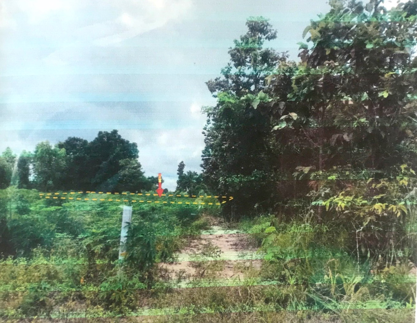 รูปที่ดินว่างเปล่า นาดี นาเยีย อุบลราชธานี