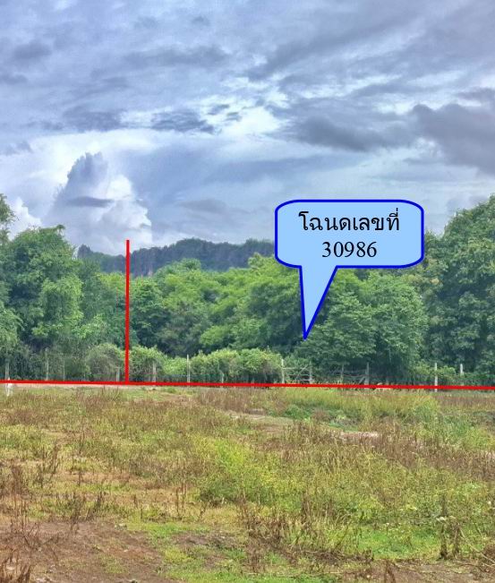 รูปที่ดินว่างเปล่า หนองกระทุ่ม ปากท่อ ราชบุรี