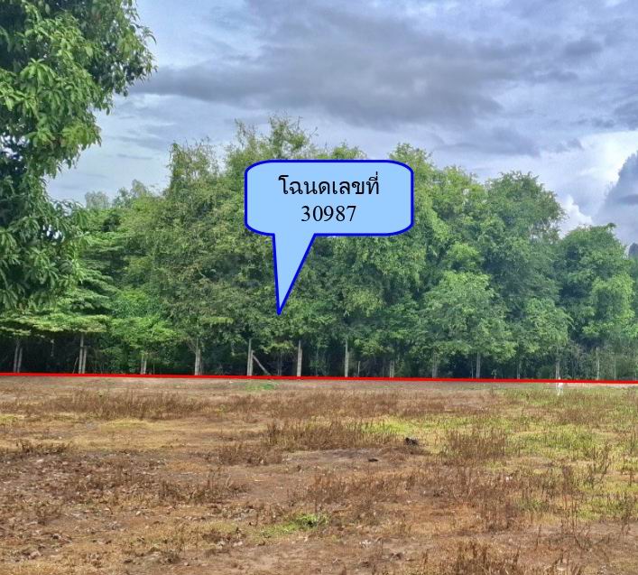 รูปที่ดินว่างเปล่า หนองกระทุ่ม ปากท่อ ราชบุรี