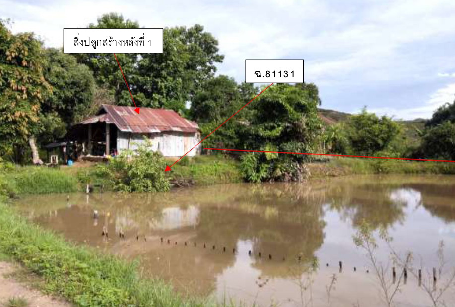รูปที่ดินพร้อมสิ่งปลูกสร้าง แม่กรณ์ เมืองเชียงราย เชียงราย