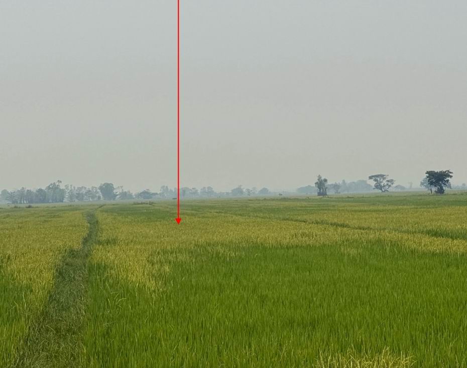 รูปที่ดินว่างเปล่า บ้านเหล่า แม่ใจ พะเยา