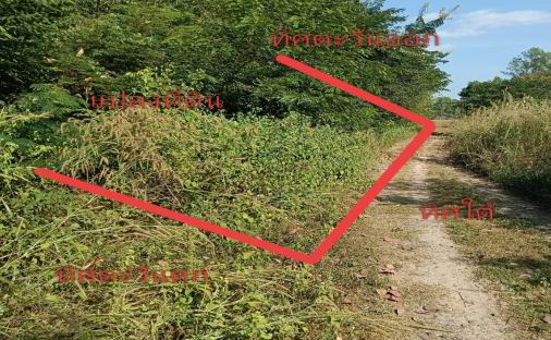 รูปที่ดินว่างเปล่า ลานสะแก พยัคฆภูมิพิสัย มหาสารคาม