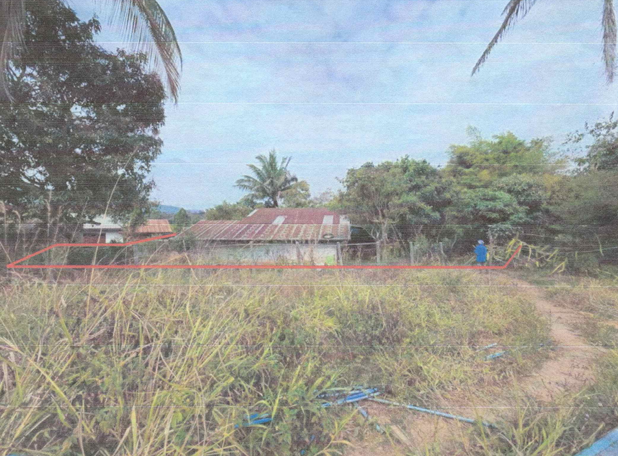 รูปที่ดินพร้อมสิ่งปลูกสร้าง สานตม ภูเรือ เลย