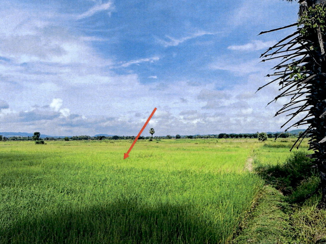 รูปที่ดินว่างเปล่า ดอนไฟ แม่ทะ ลำปาง